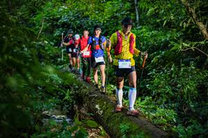 BIB: 9517
                            <button type="button" onclick="openModal(18922521)" class="btn btn-primary btn-sm float-right btn-popup" data-toggle="modal" data-target=".modal-high-quality">
                        <i class="fas fa-shopping-cart"></i> Add to Cart
                    </button>
                                            <button type="button" onclick="isThisMe(18922521, true)" class="btn btn-success btn-sm float-right btn-popup btn-isme hidden" data-toggle="tooltip" data-placement="bottom" title="นี่คือรูปของคุณใช่ไหม คลิกที่นี่เพื่อเอาเข้าอัลบั้ม">
                        <i class="fas fa-plus"></i> Add to album
                    </button>
                    <button type="button" onclick="isThisMe(18922521, false)" class="btn btn-warning btn-sm float-right btn-popup btn-isnotme hidden">
                        <i class="fas fa-ban"></i> Remove from album
                    </button>